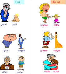 besteden waarom Beoefend Gratis Grammatica: het bijvoeglijk naamwoord in het Frans - Formilangue